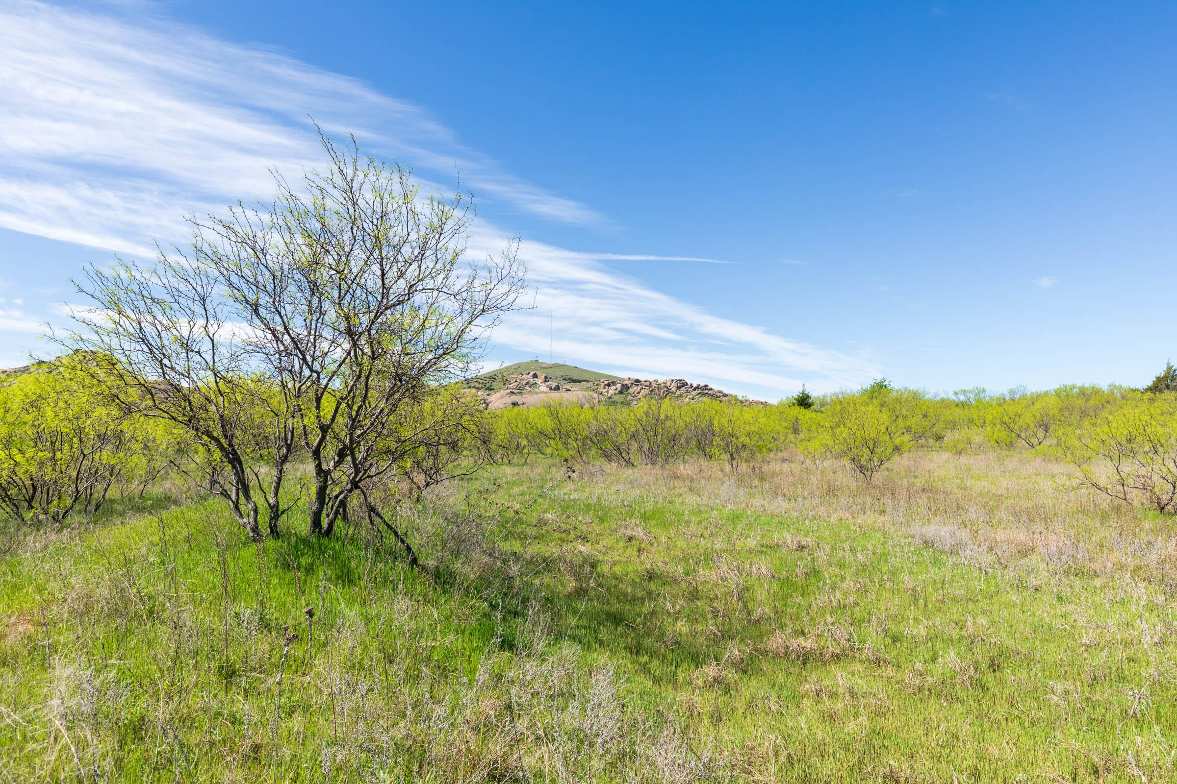Hackberry Fields Tract 22 photo 2