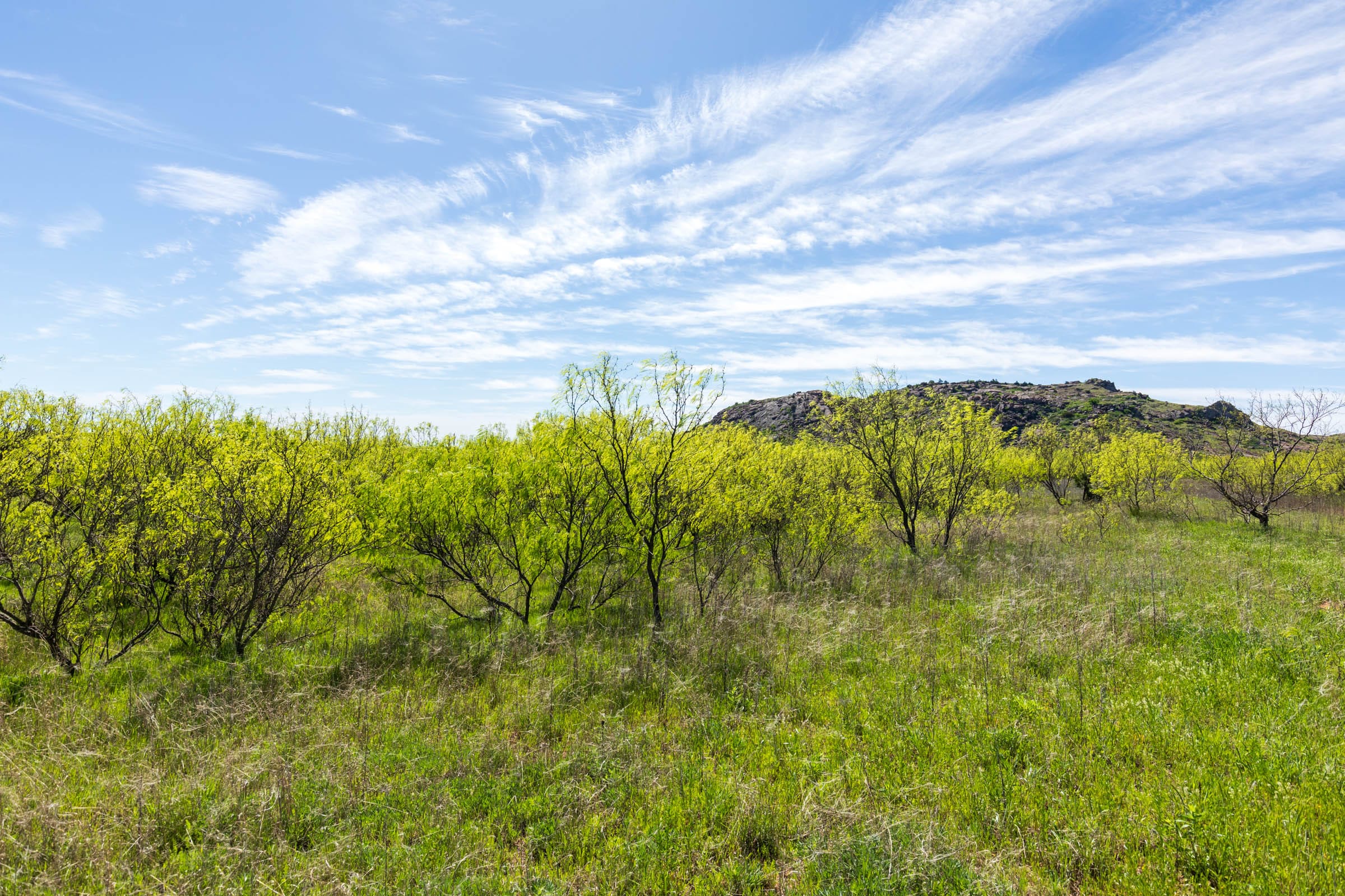 Hackberry Fields Tract 22 photo 7