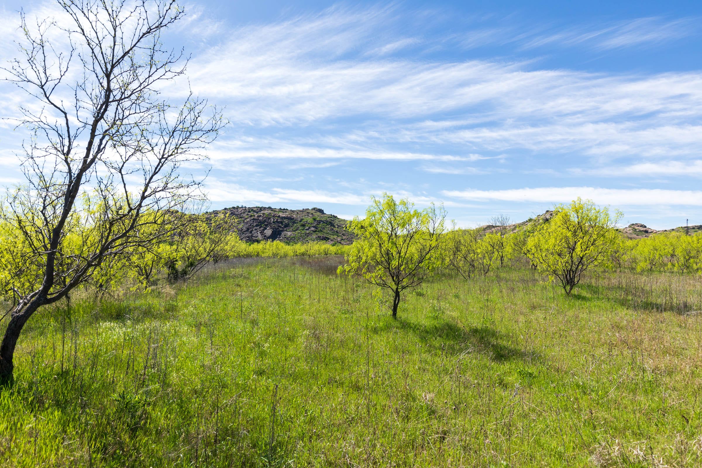 Hackberry Fields Tract 22 photo 14