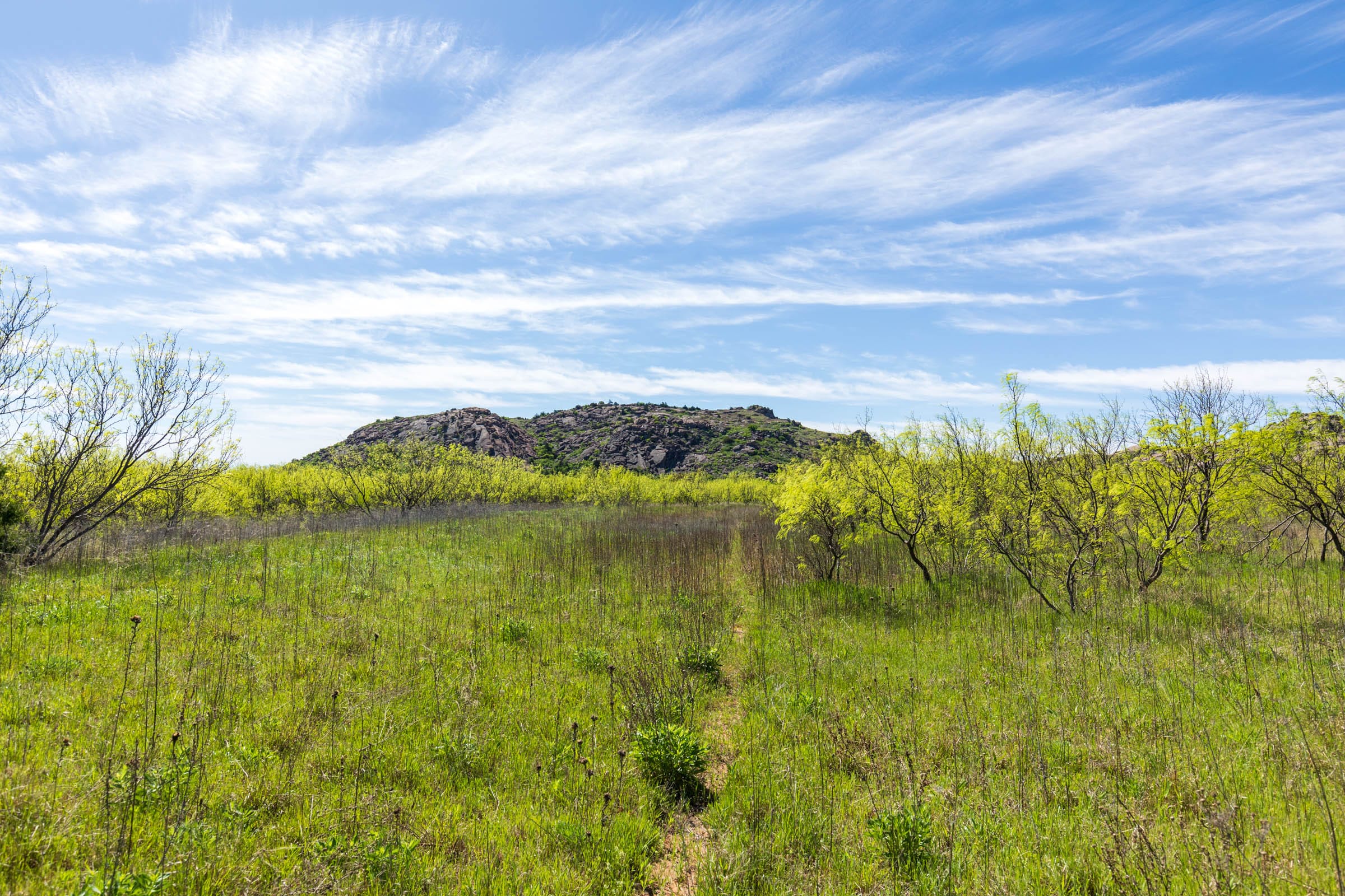 Hackberry Fields Tract 22 photo 13