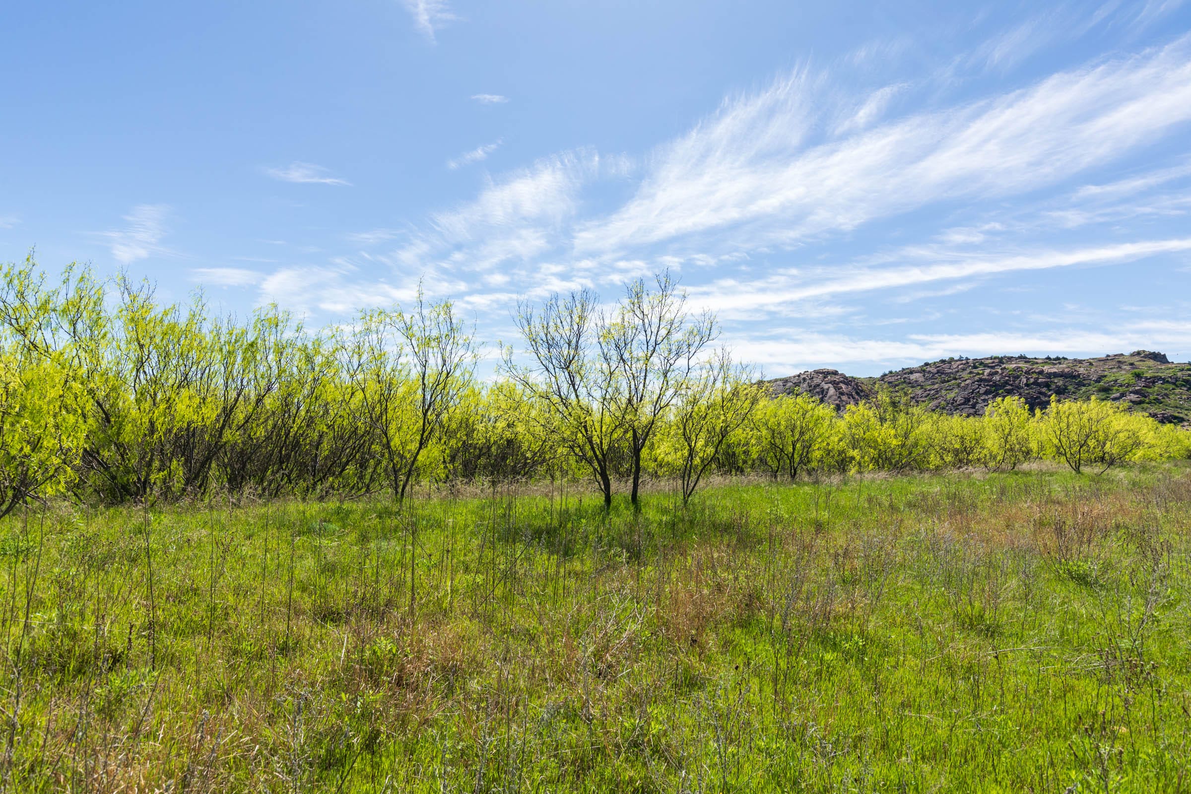 Hackberry Fields Tract 22 photo 11