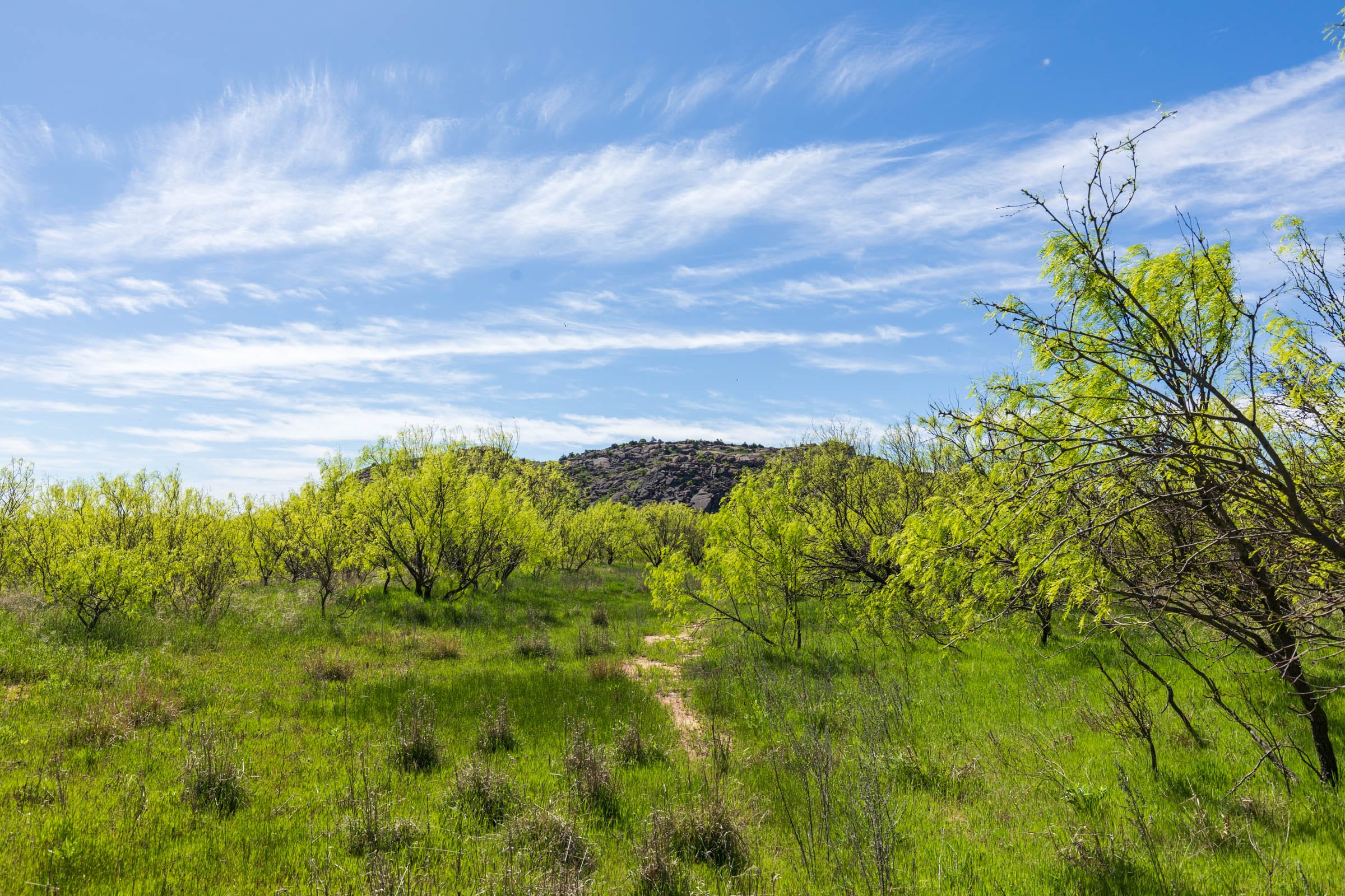 Hackberry Fields Tract 22 photo 8