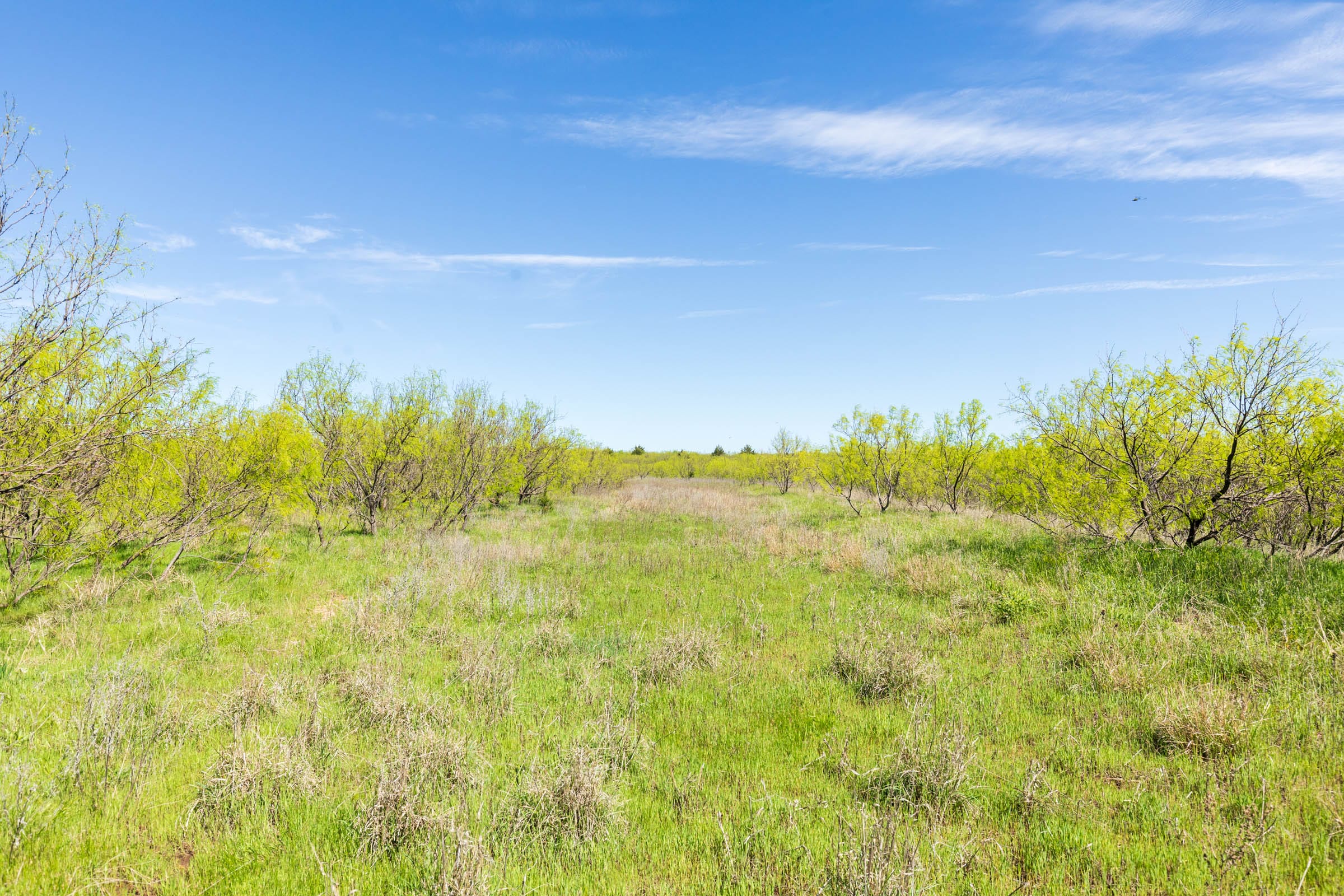 Hackberry Fields Tract 22 photo 1