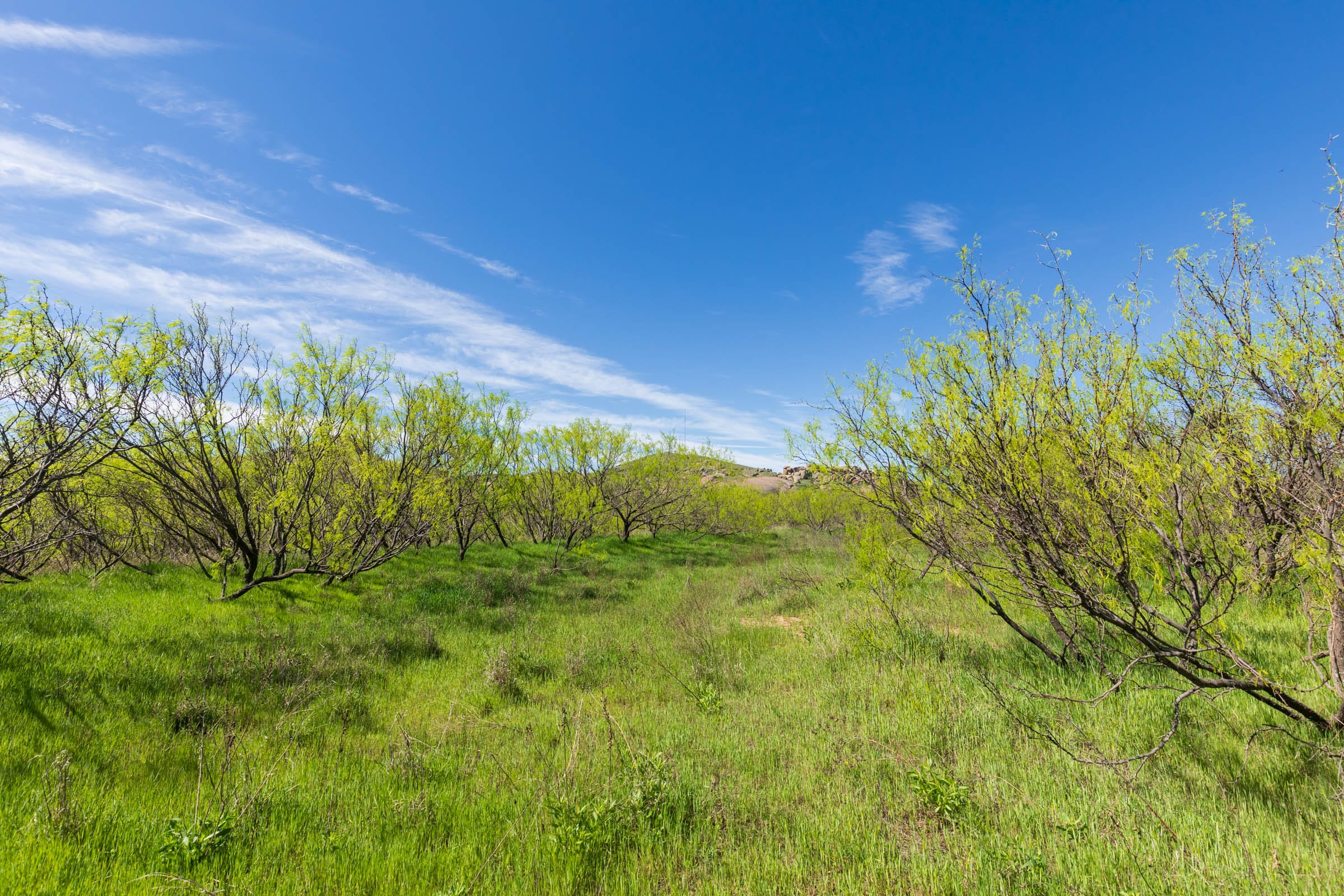 Hackberry Fields Tract 22 photo 18
