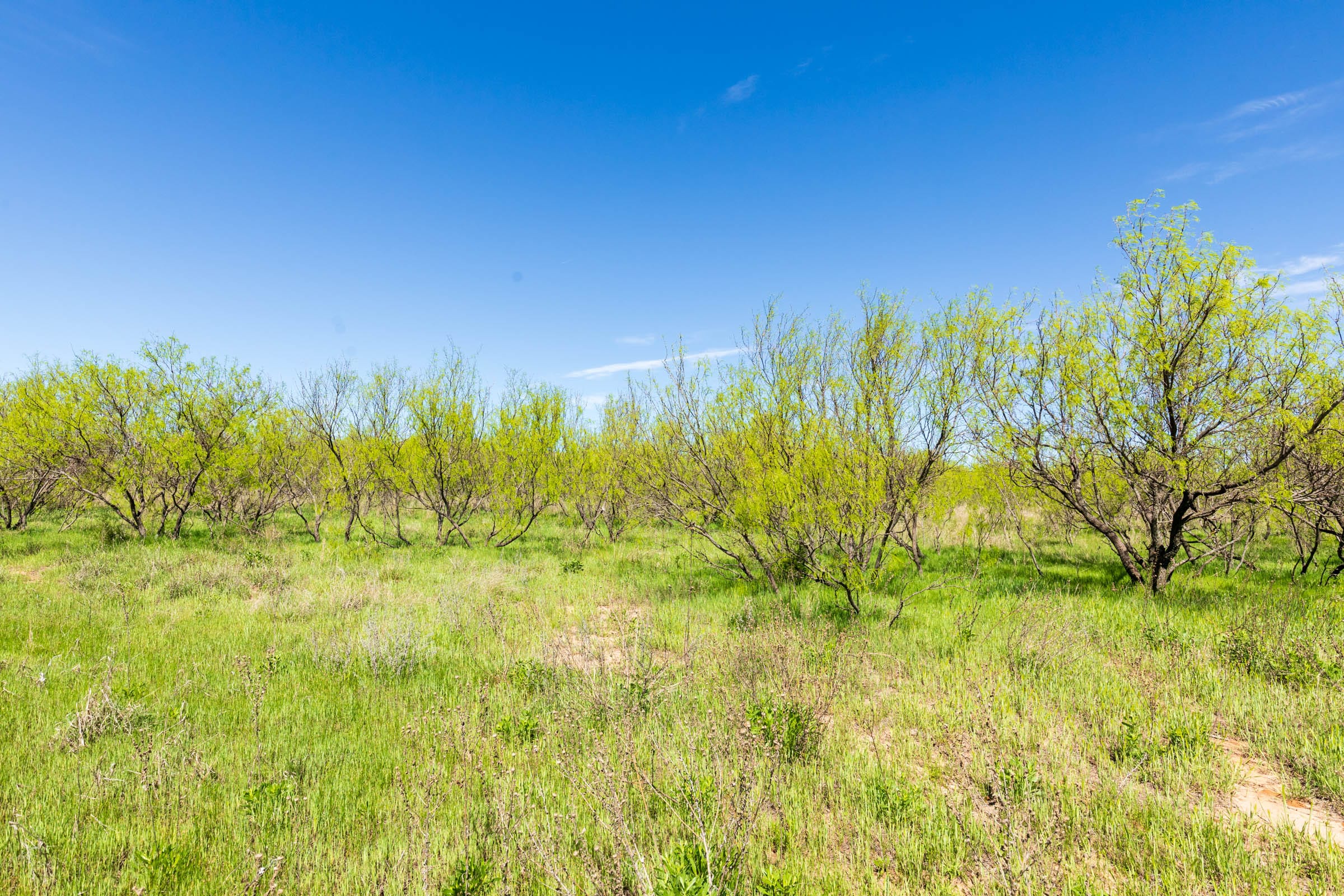 Hackberry Fields Tract 22 photo 16