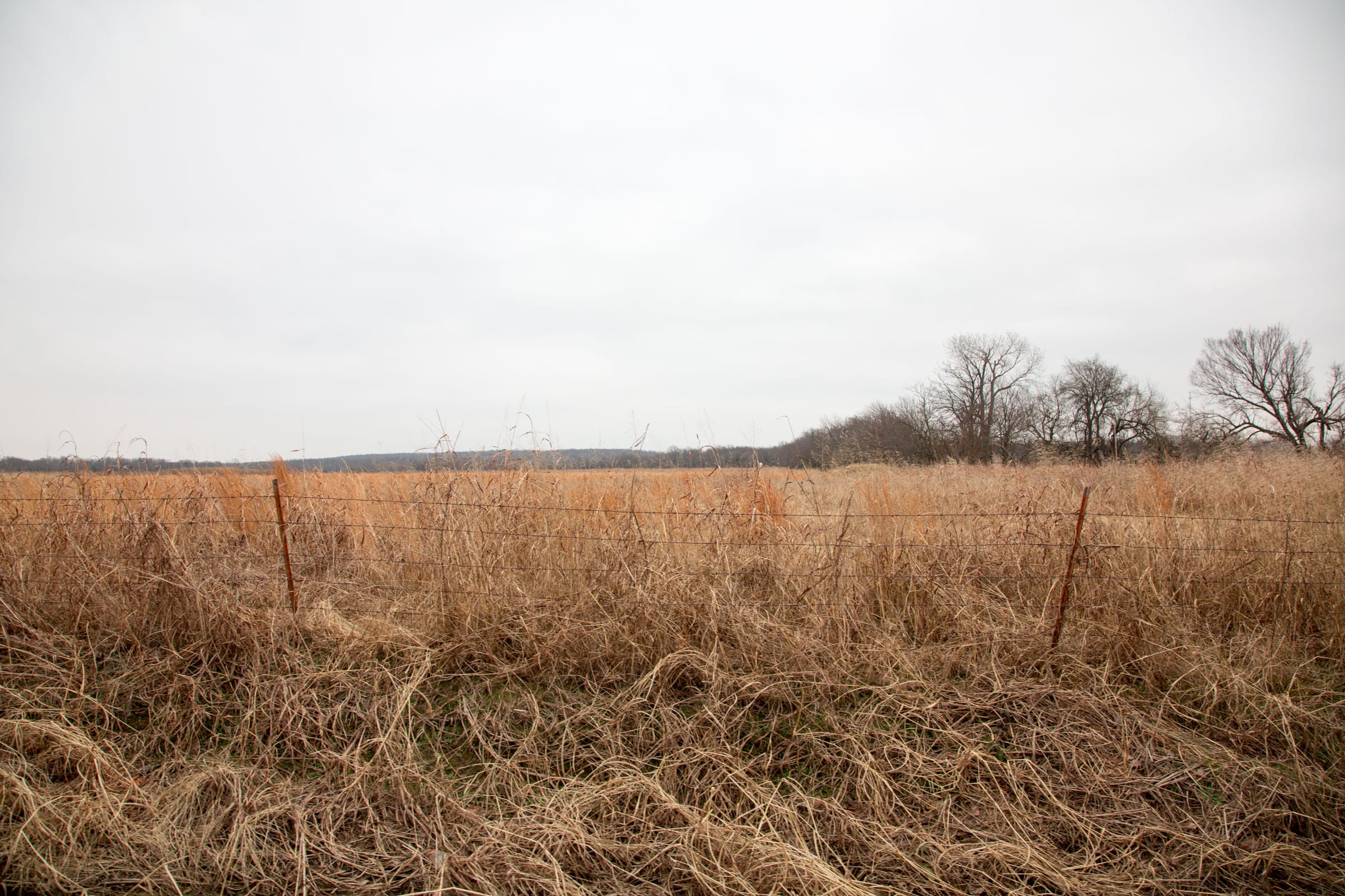 Canadian Plains Tract 20 photo 2