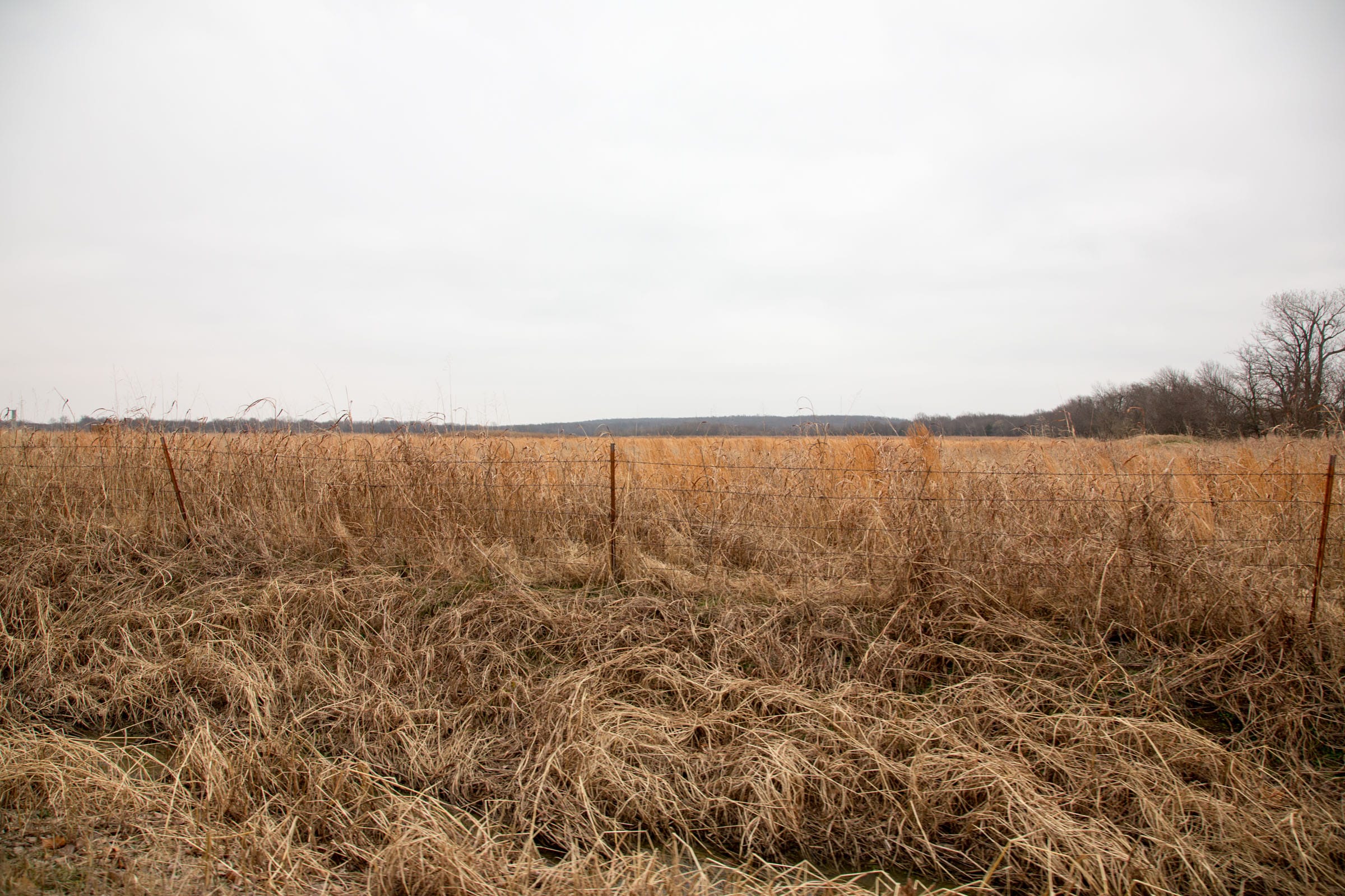 Canadian Plains Tract 20 photo 3