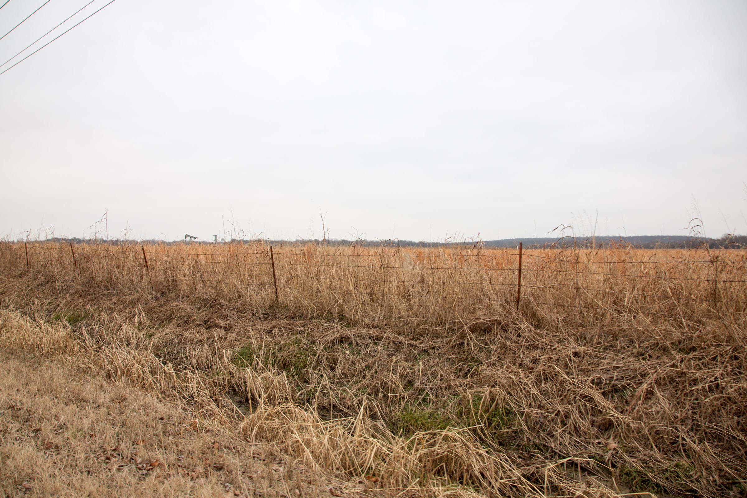 Canadian Plains Tract 20 photo 4