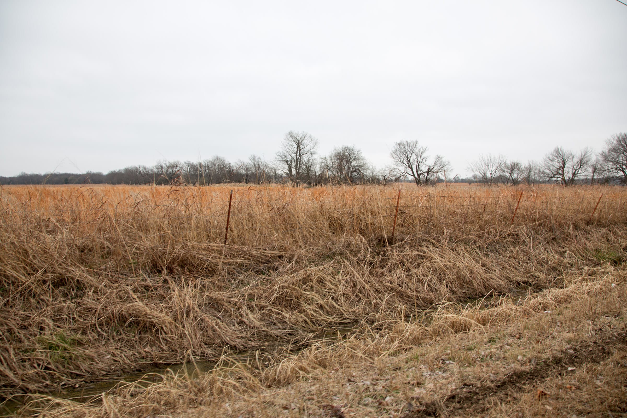 Canadian Plains Tract 20 photo 5