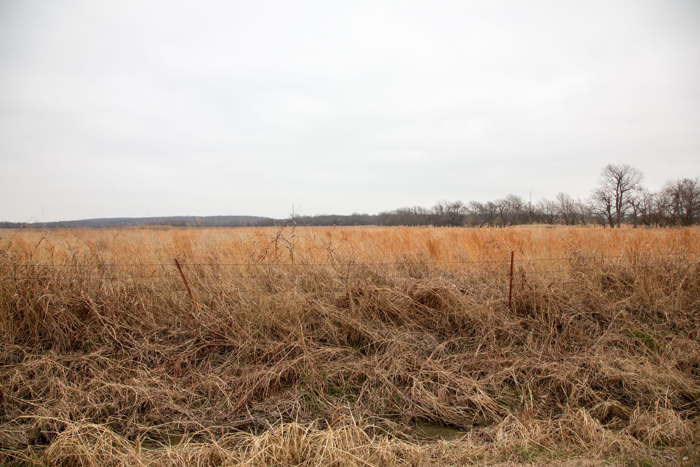 Canadian Plains Tract 20 photo 6