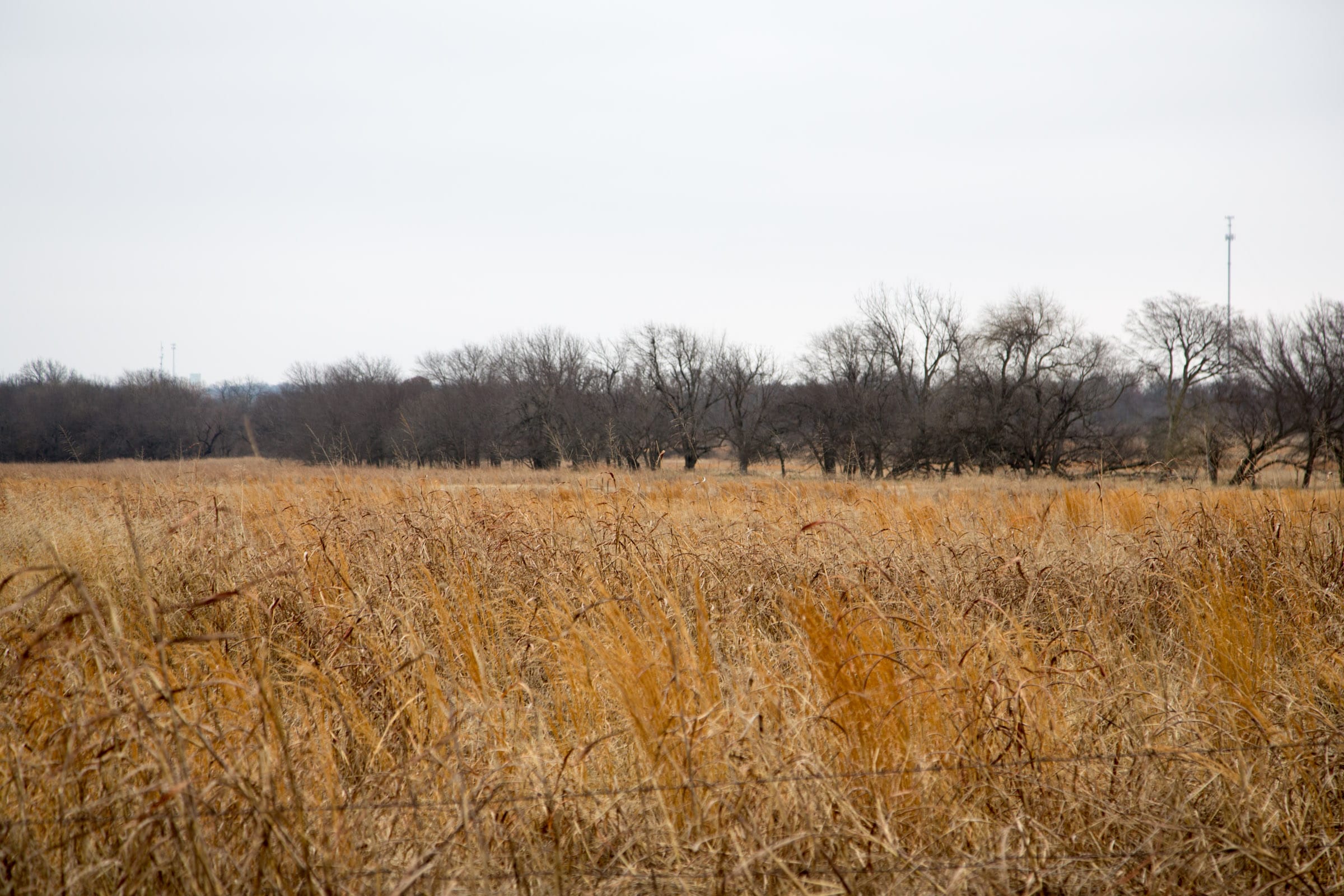 Canadian Plains Tract 20 photo 10