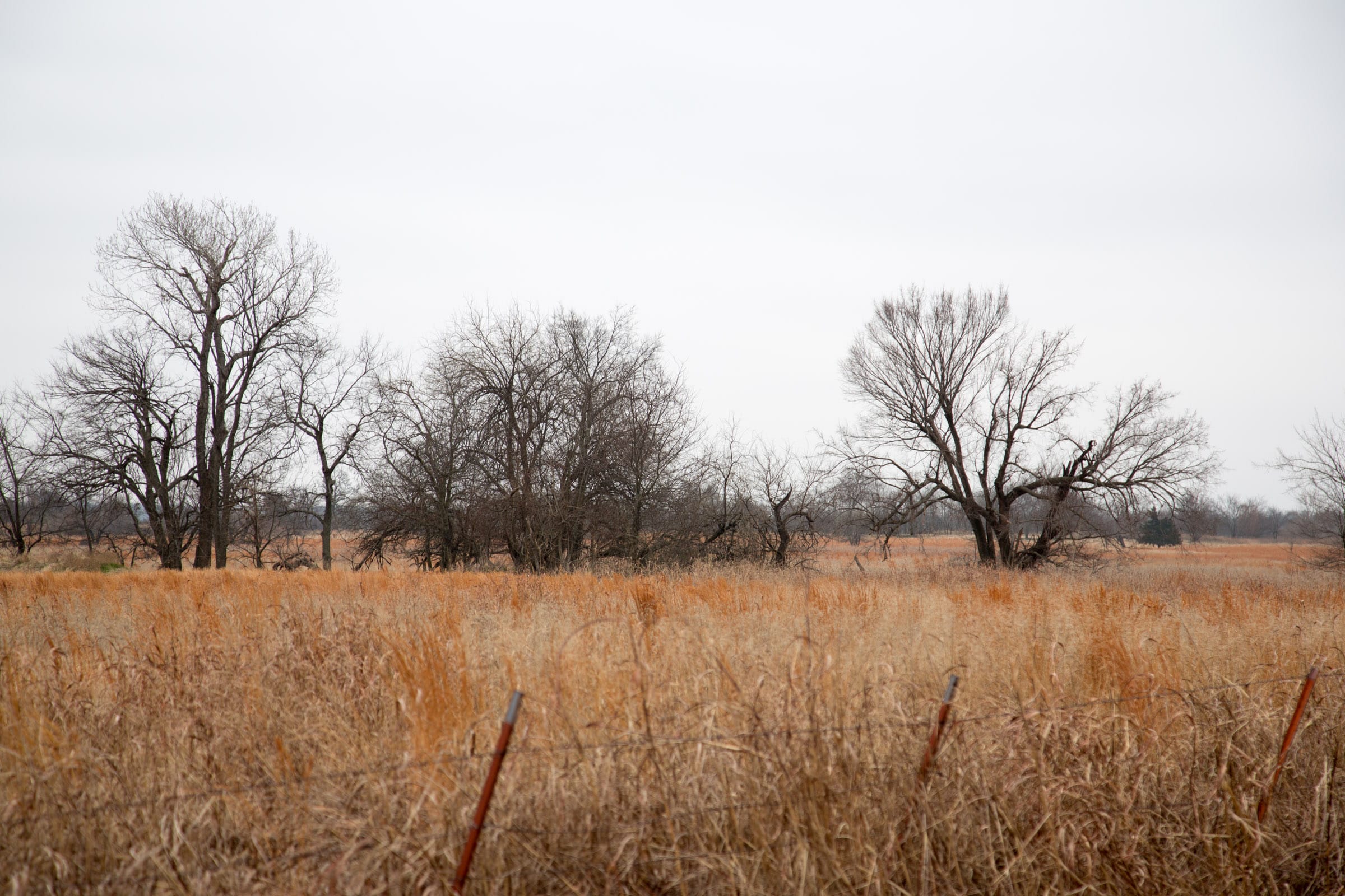 Canadian Plains Tract 20 photo 11