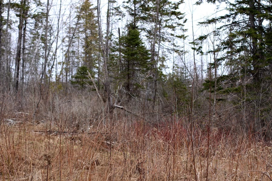 Sunrise Estates Tract 14 photo 4