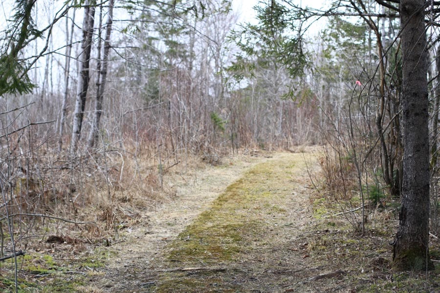Sunrise Estates Tract 14 photo 6