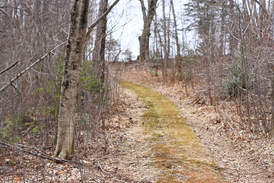 Sunrise Estates Tract 14 photo 10