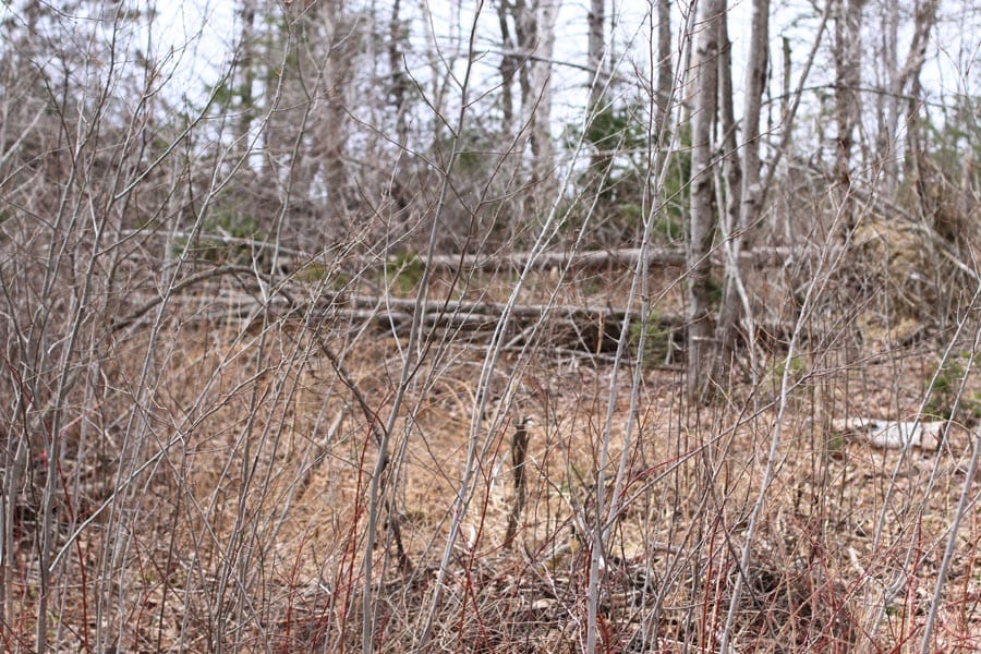 Sunrise Estates Tract 14 photo 11