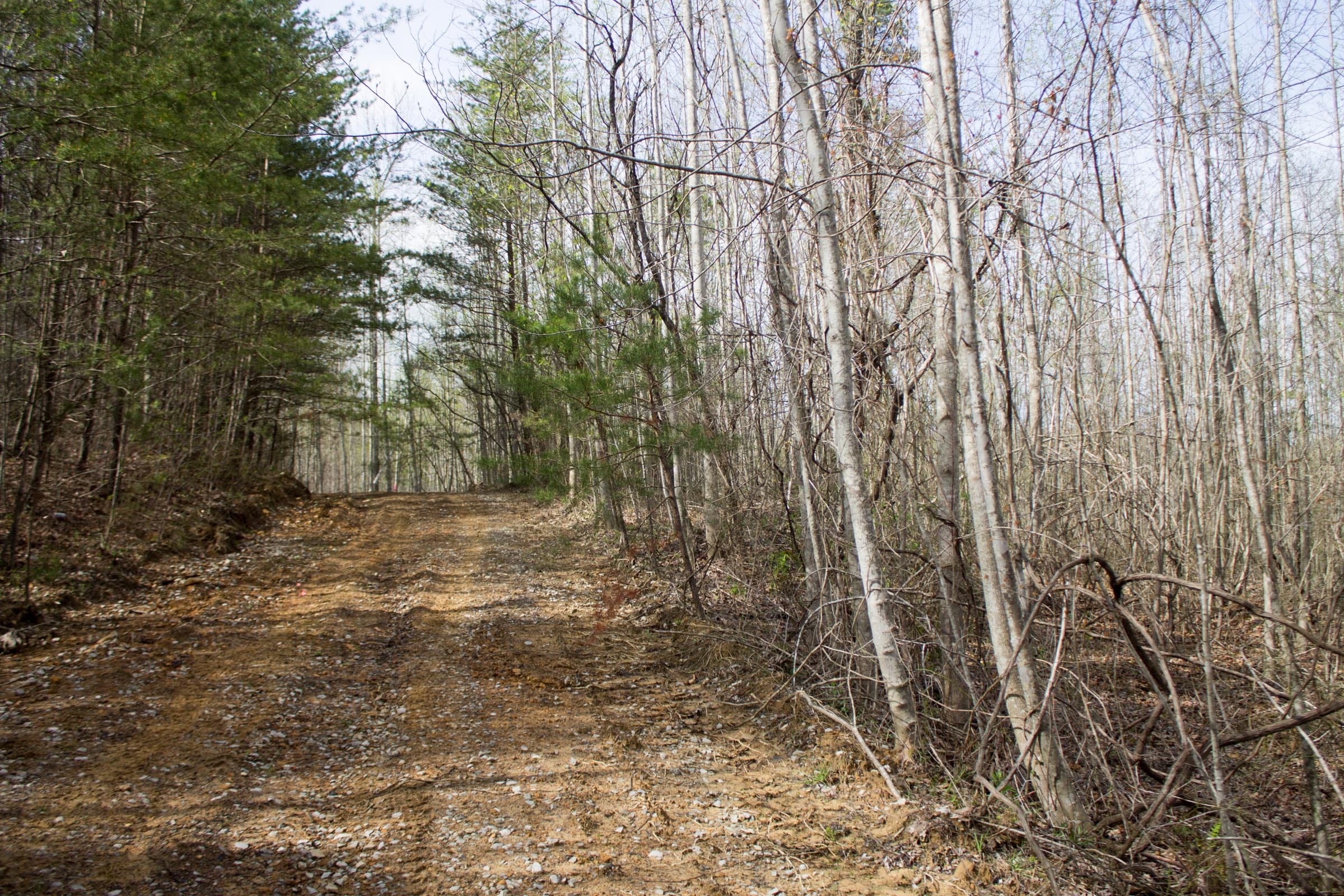 Hidden Hills Tract 32 photo 1