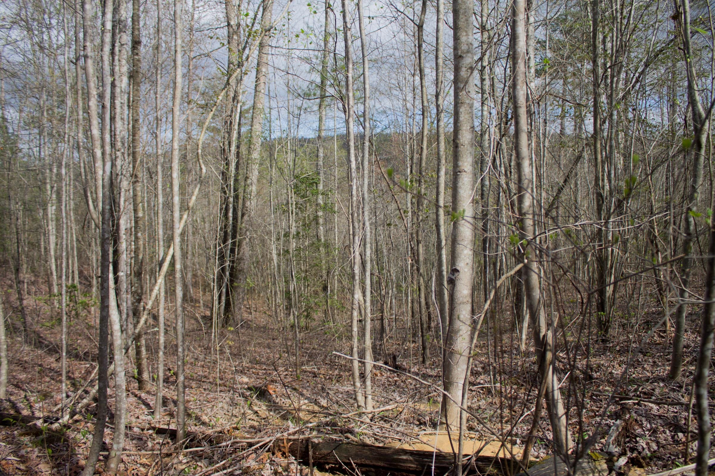 Hidden Hills Tract 32 photo 3