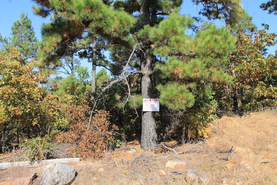 Indian Ridge – Phase III Tract 115 photo 1