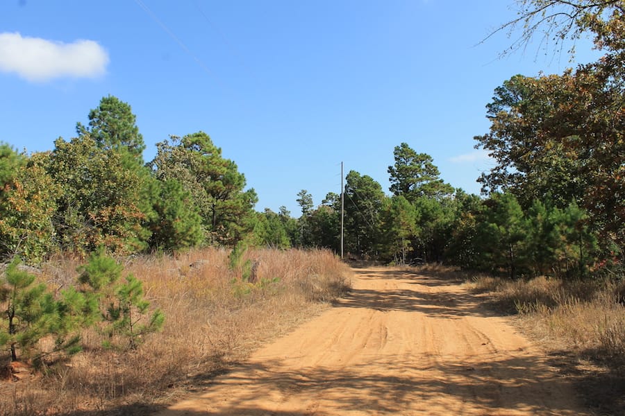 Indian Ridge – Phase III Tract 115 photo 2