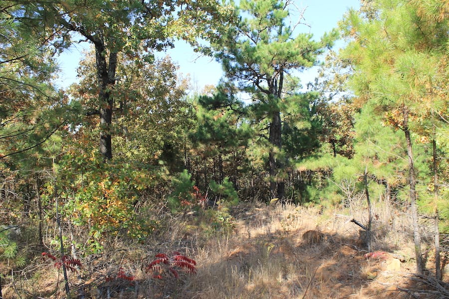 Indian Ridge – Phase III Tract 115 photo 3