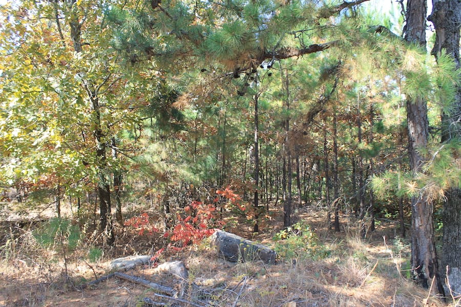 Indian Ridge – Phase III Tract 115 photo 4