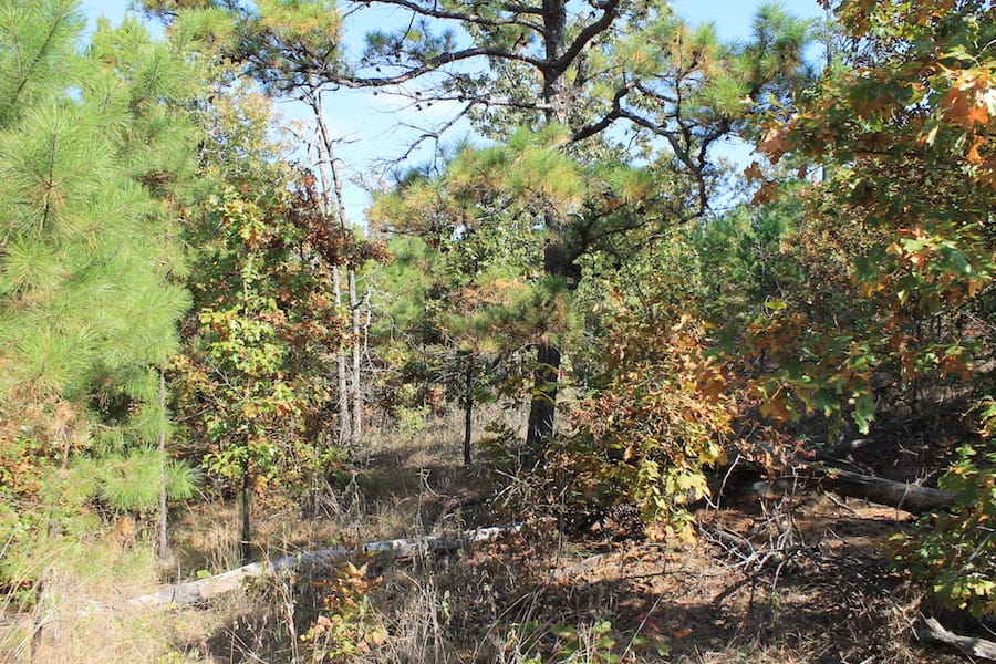 Indian Ridge – Phase III Tract 115 photo 5