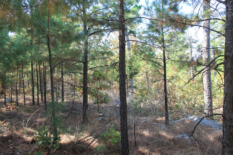 Indian Ridge – Phase III Tract 115 photo 7