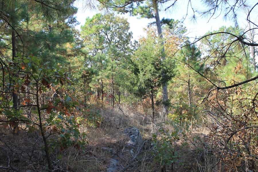 Indian Ridge – Phase III Tract 115 photo 8