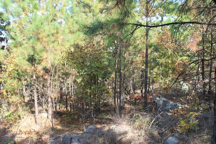 Indian Ridge – Phase III Tract 115 photo 9