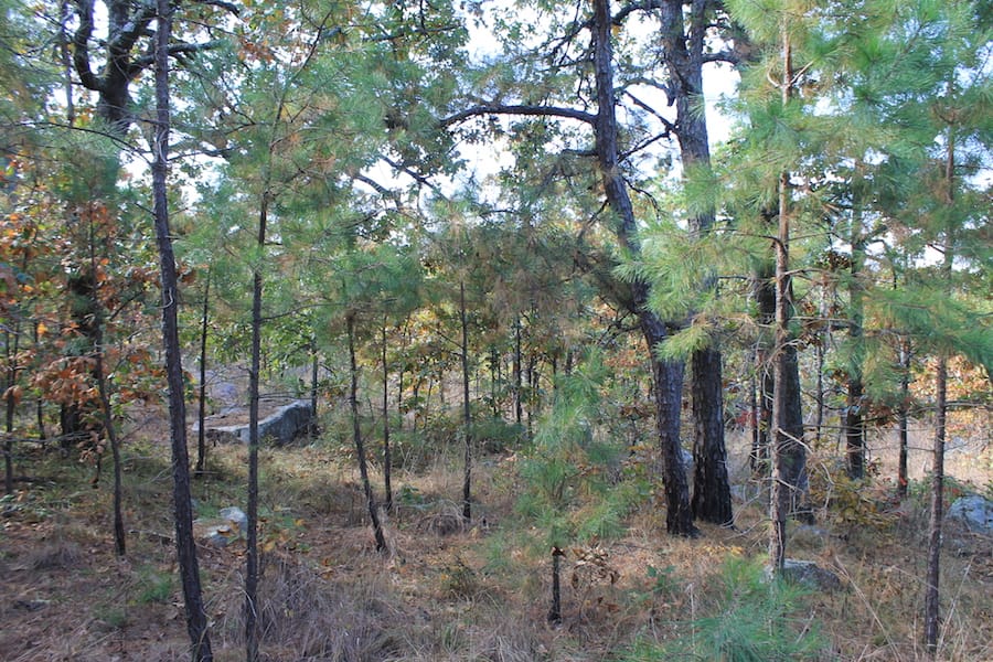 Indian Ridge – Phase III Tract 115 photo 13