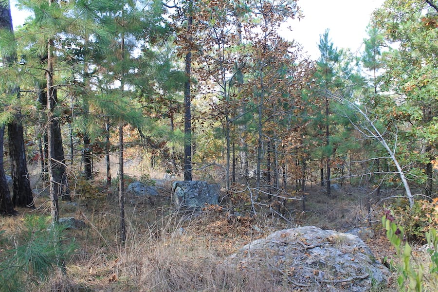 Indian Ridge – Phase III Tract 115 photo 14