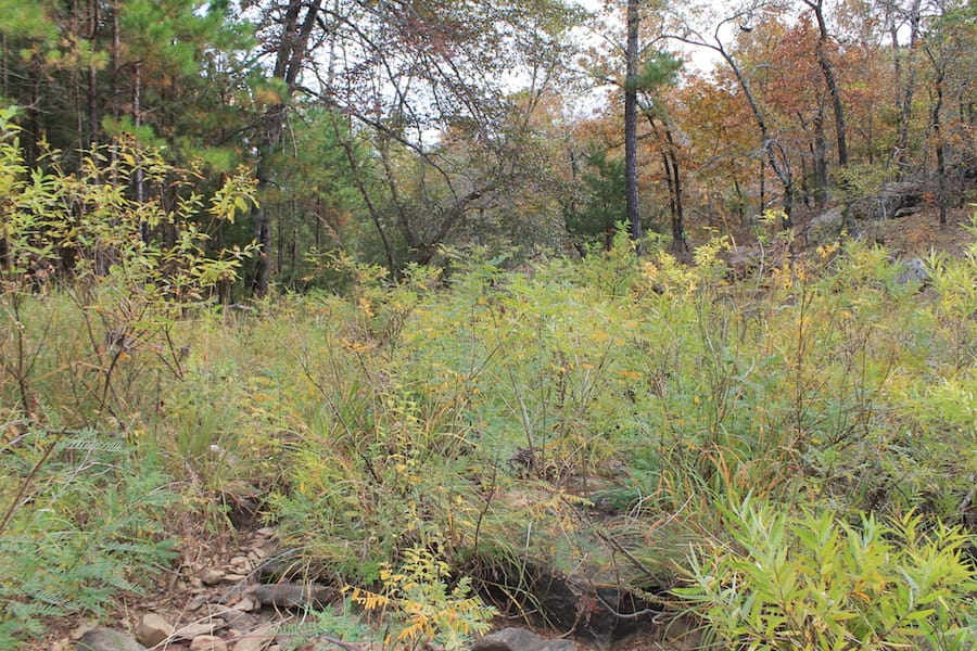 Indian Ridge – Phase III Tract 115 photo 16