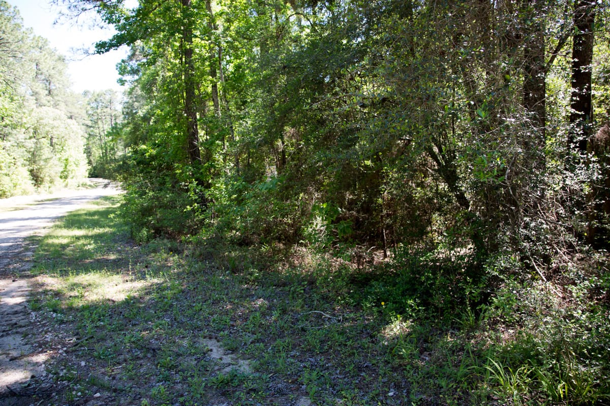 Rayburn Country Tract 309 photo 4