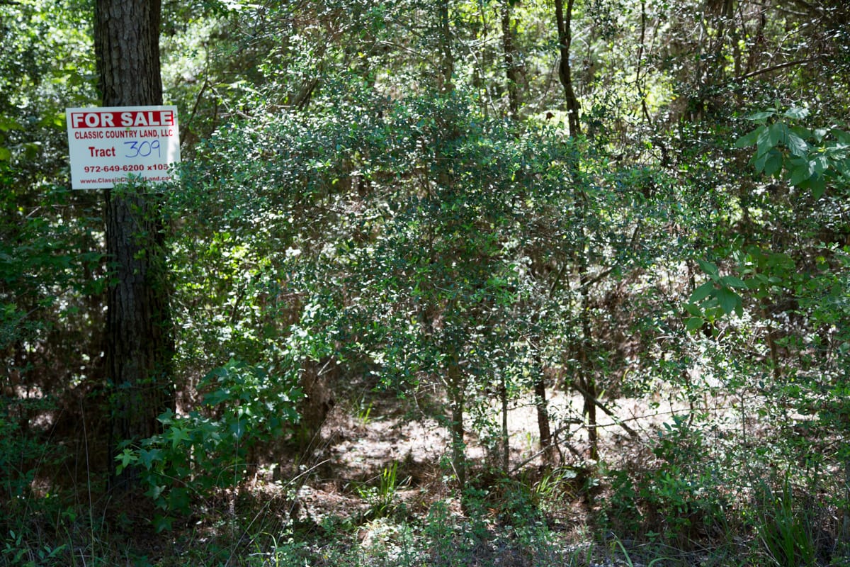 Rayburn Country Tract 309 photo 6