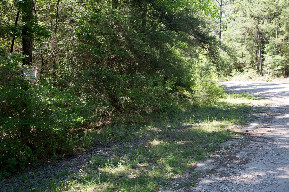 Rayburn Country Tract 309 photo 2
