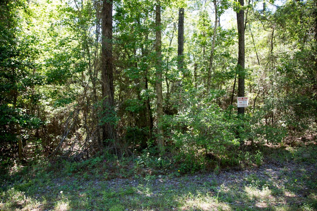 Rayburn Country Tract 309 photo 7