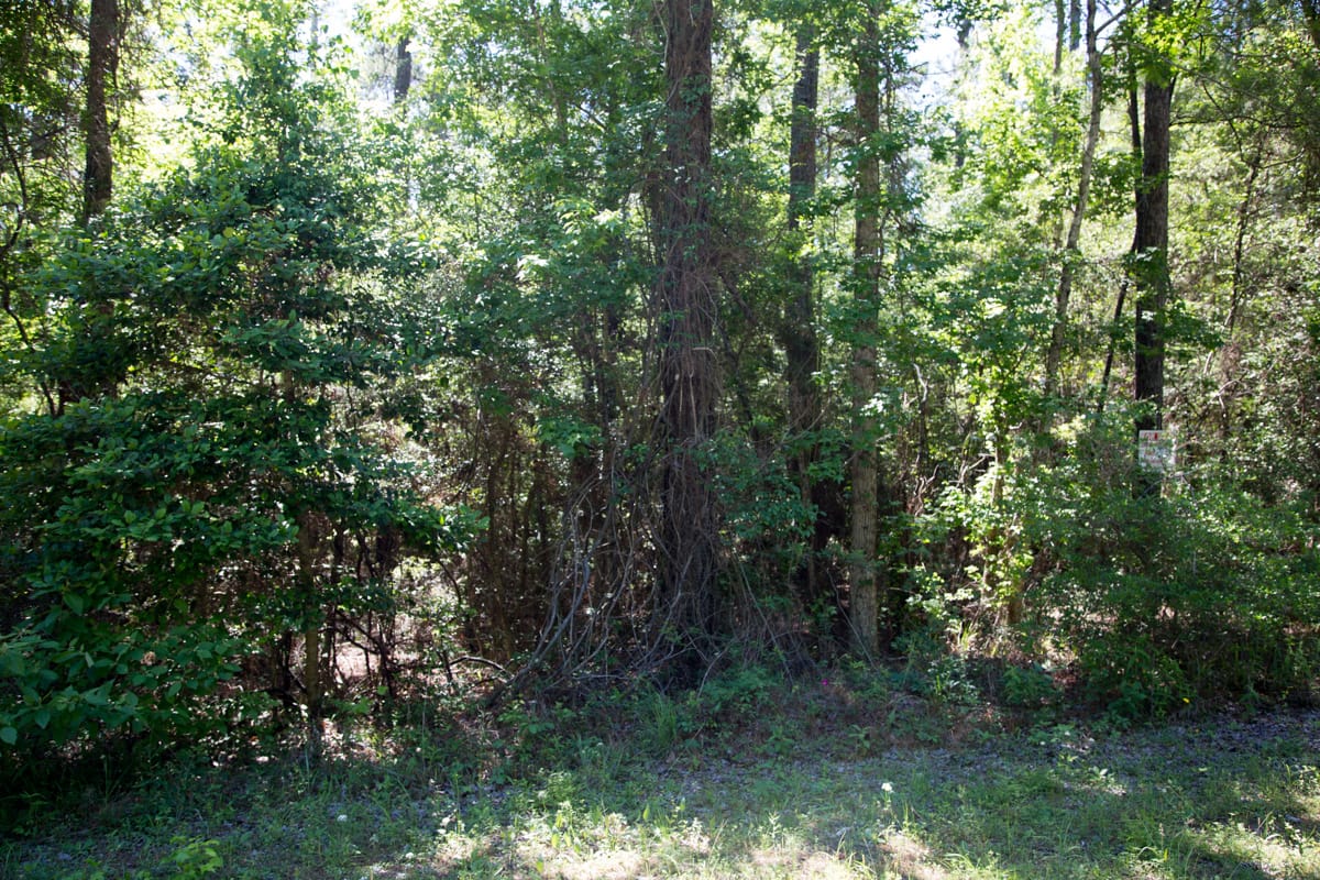 Rayburn Country Tract 309 photo 8