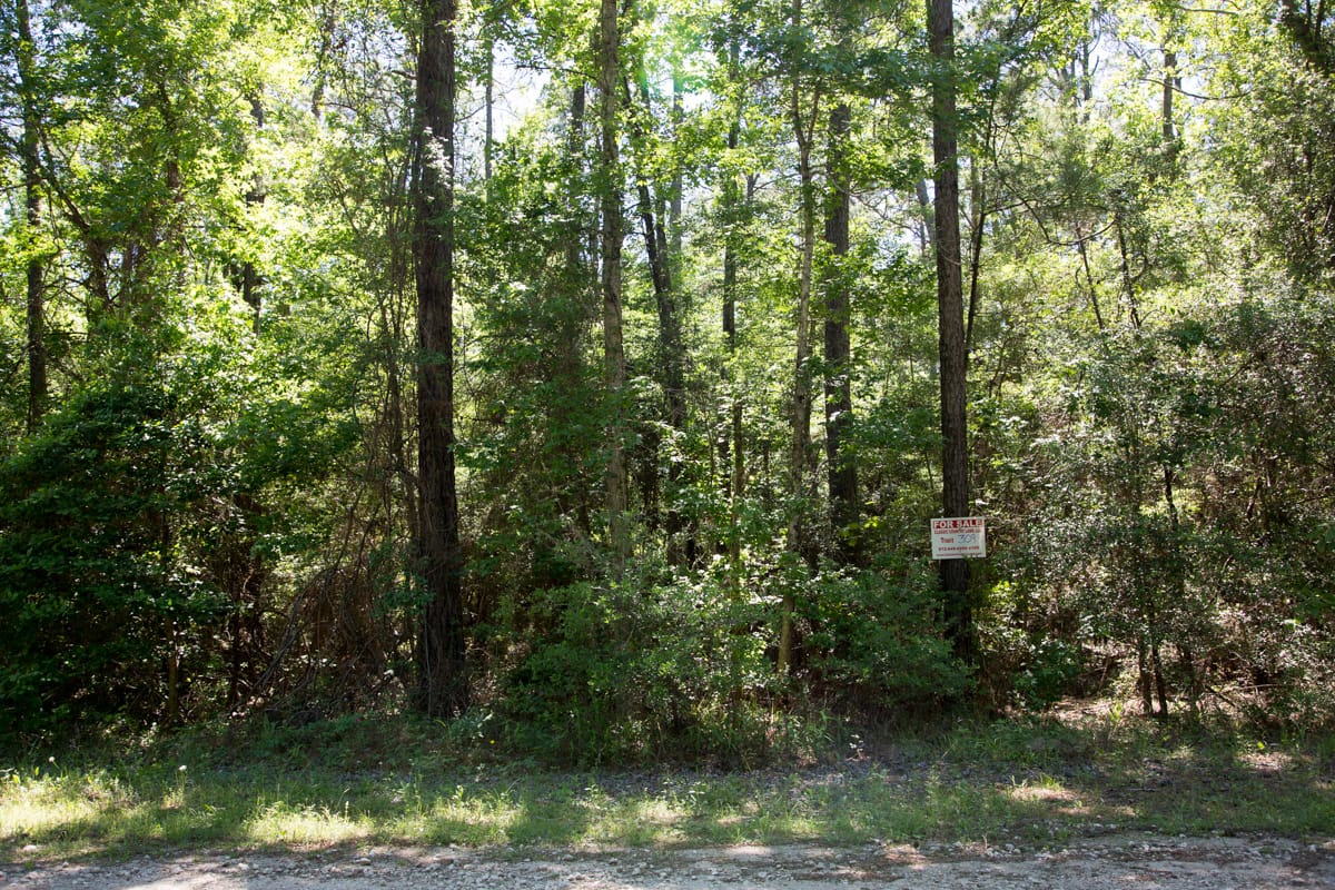 Rayburn Country Tract 309 photo 10