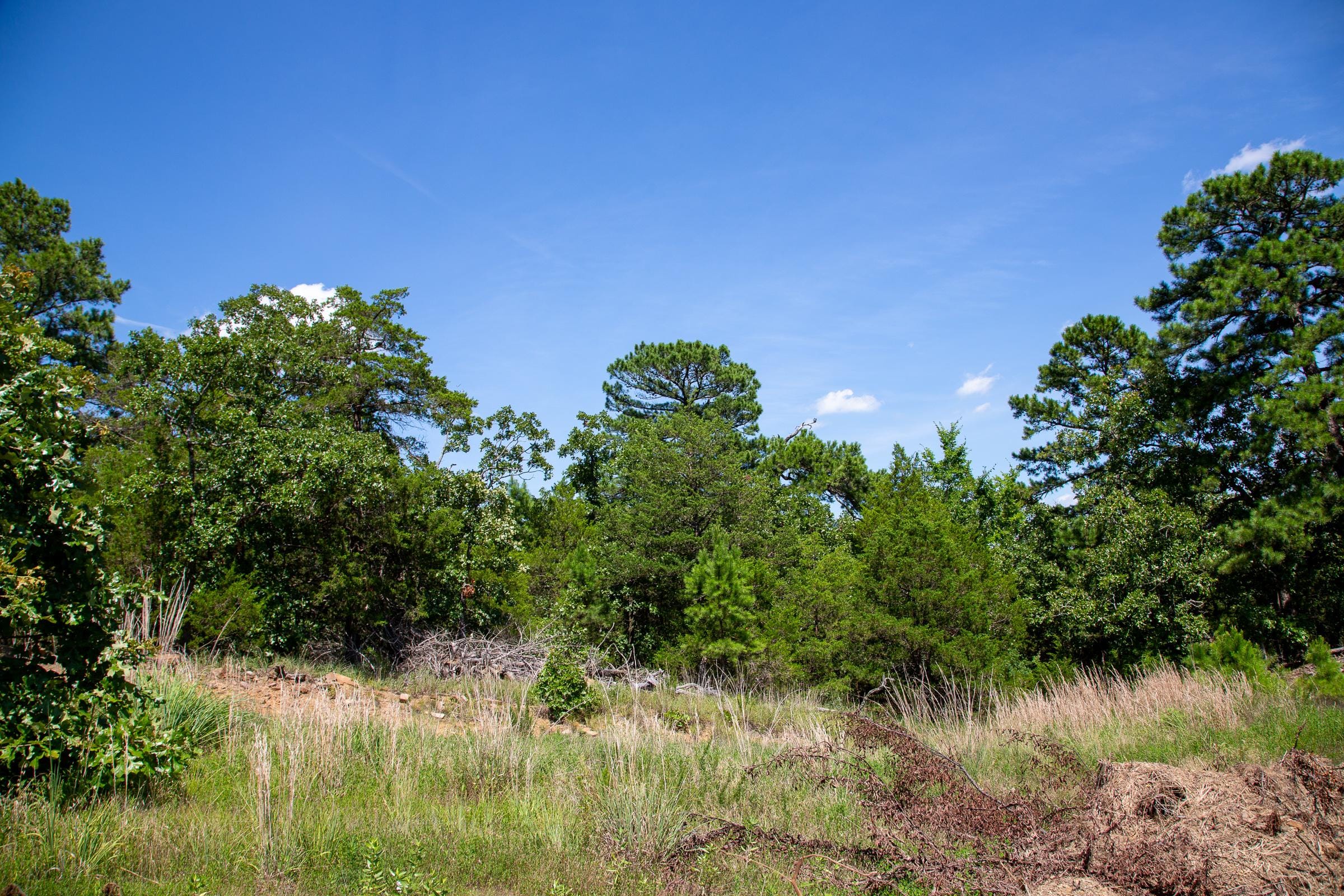 Tyler Stone Ranch Tract 38 photo 3