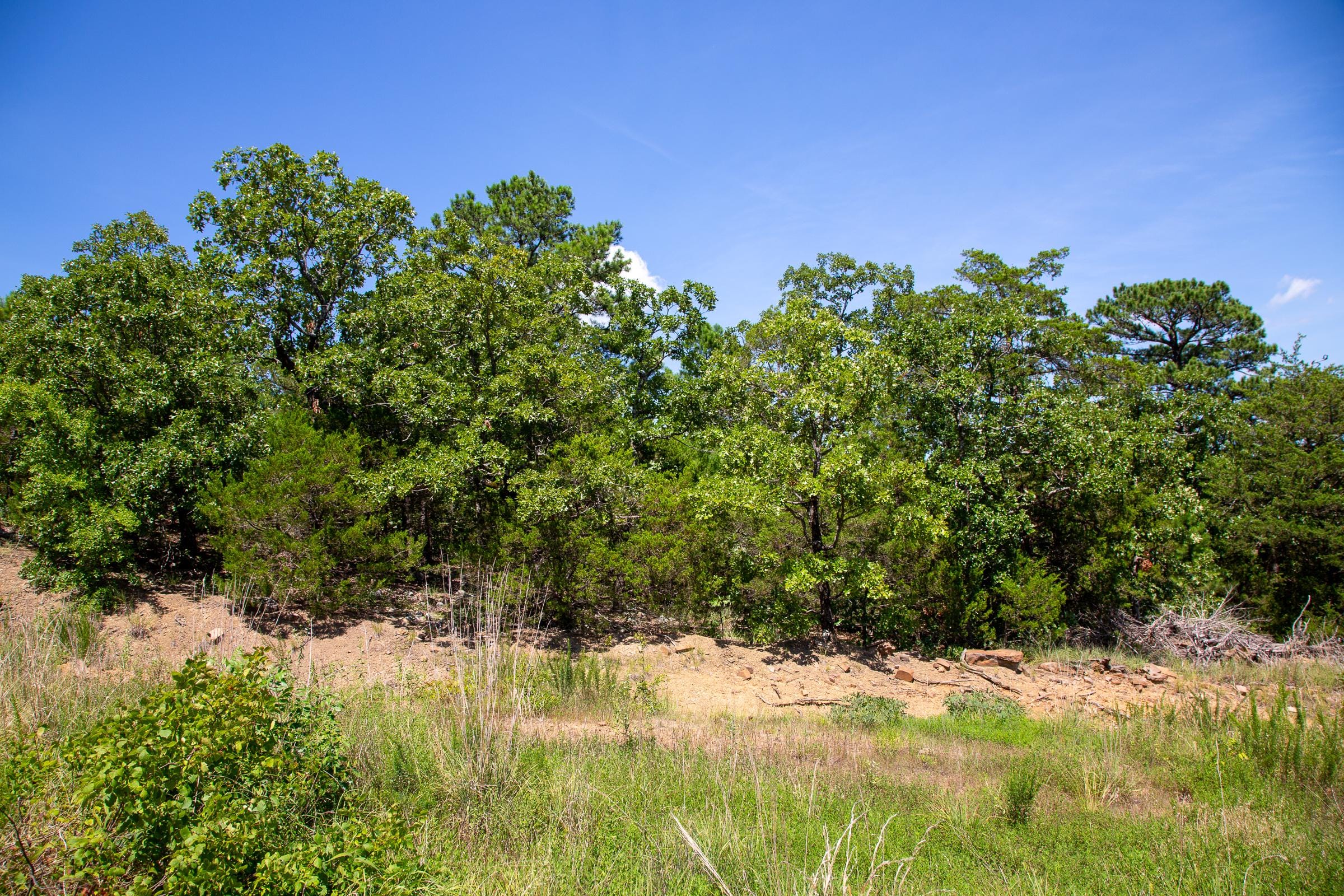 Tyler Stone Ranch Tract 38 photo 1