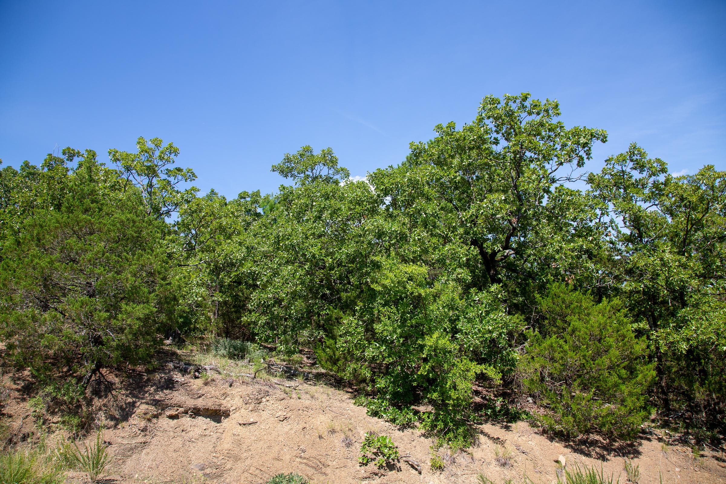 Tyler Stone Ranch Tract 38 photo 4
