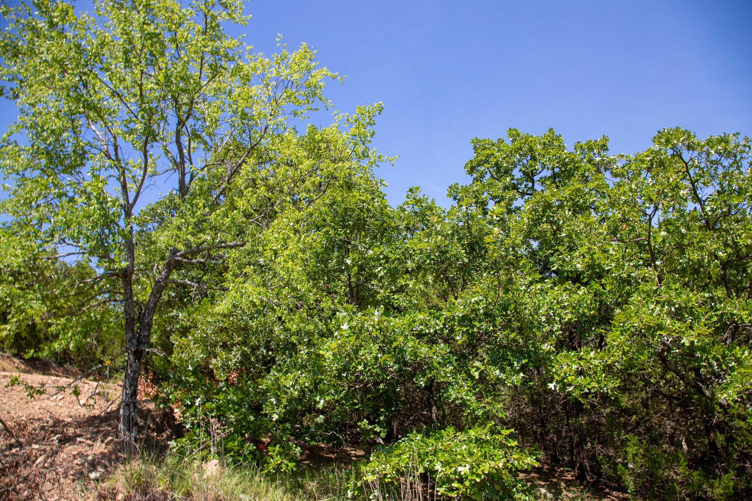 Tyler Stone Ranch Tract 38 photo 6