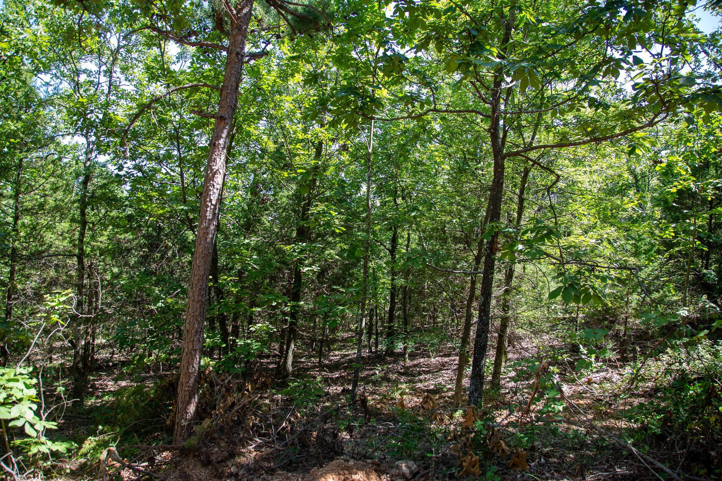 Tyler Stone Ranch Tract 38 photo 7