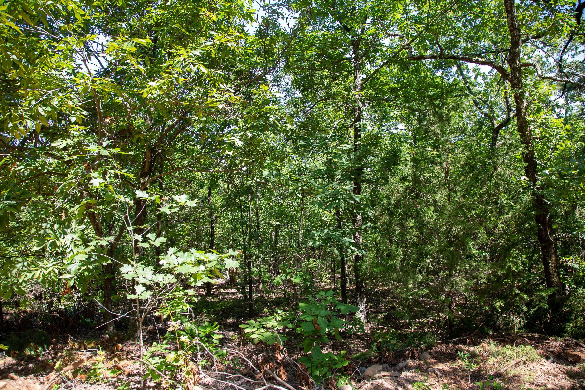 Tyler Stone Ranch Tract 38 photo 8