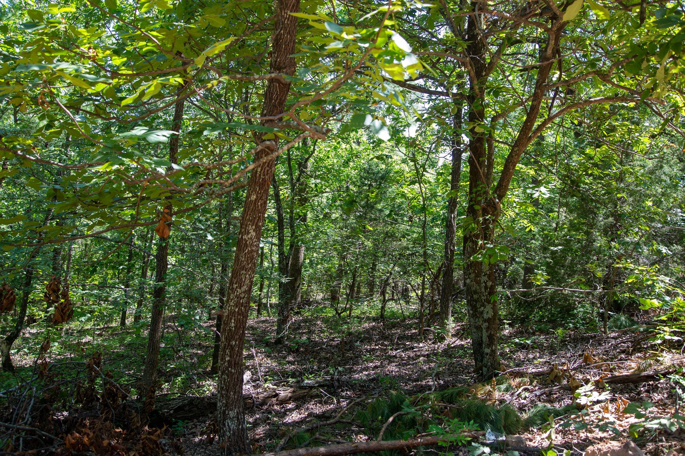 Tyler Stone Ranch Tract 38 photo 10