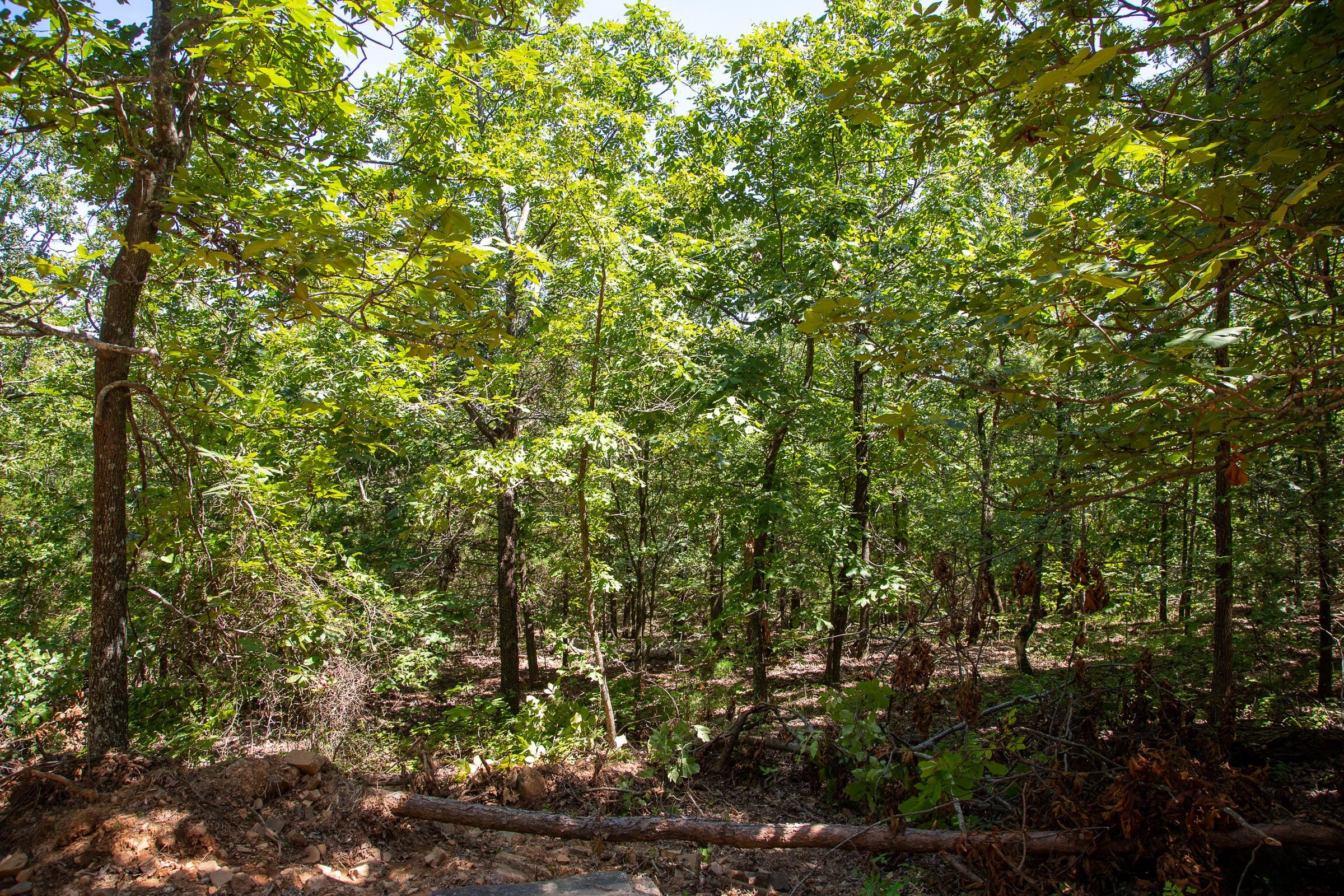 Tyler Stone Ranch Tract 38 photo 11