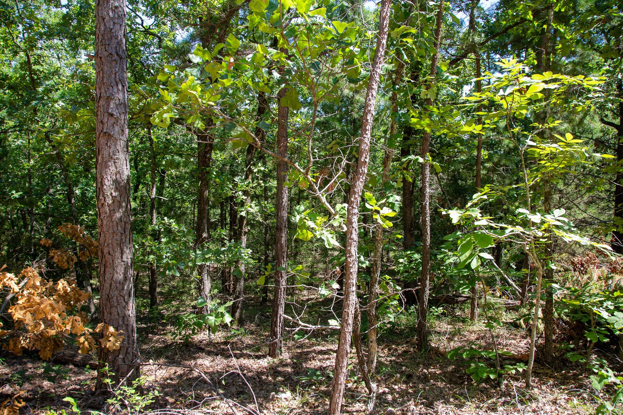 Tyler Stone Ranch Tract 38 photo 12