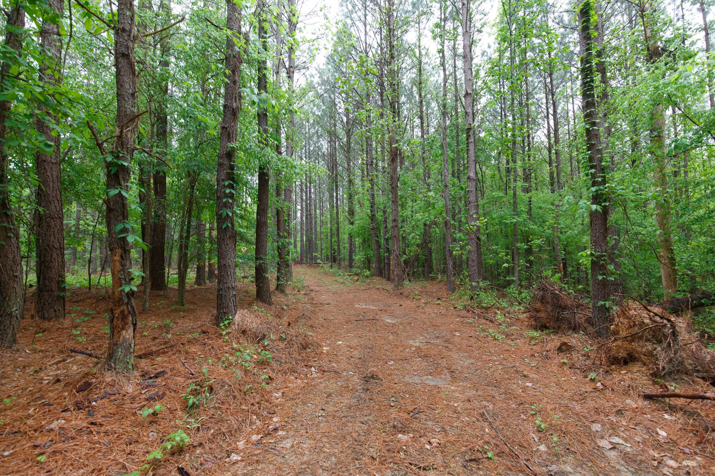 Red Barn Ranch Tract 27 photo 1