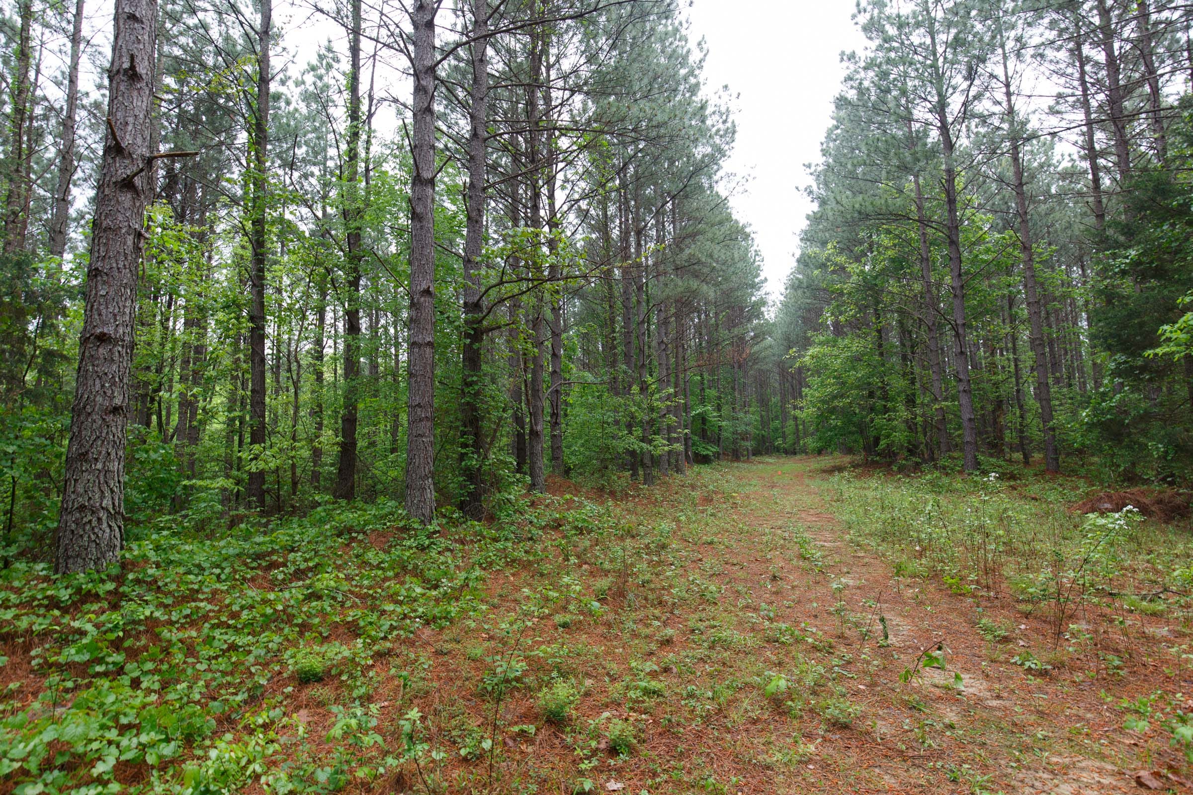 Red Barn Ranch Tract 27 photo 10